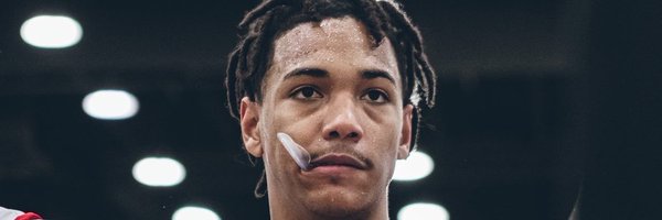 Amaridavis_2024 Profile Banner