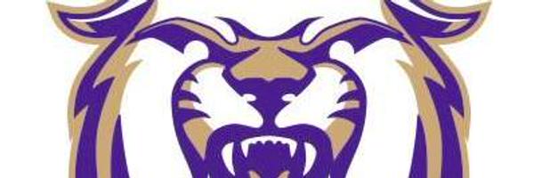 CatSportsForum Profile Banner
