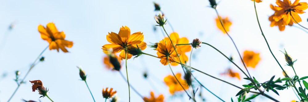 Berlynn_'s profile banner image