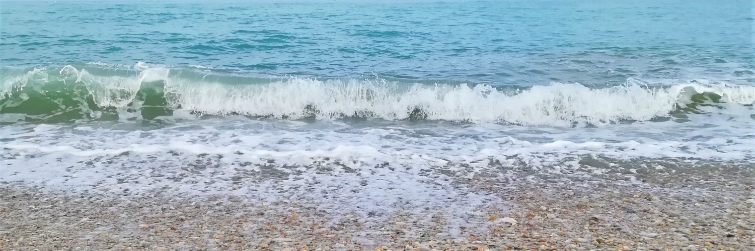 PWhiteowl's profile banner image