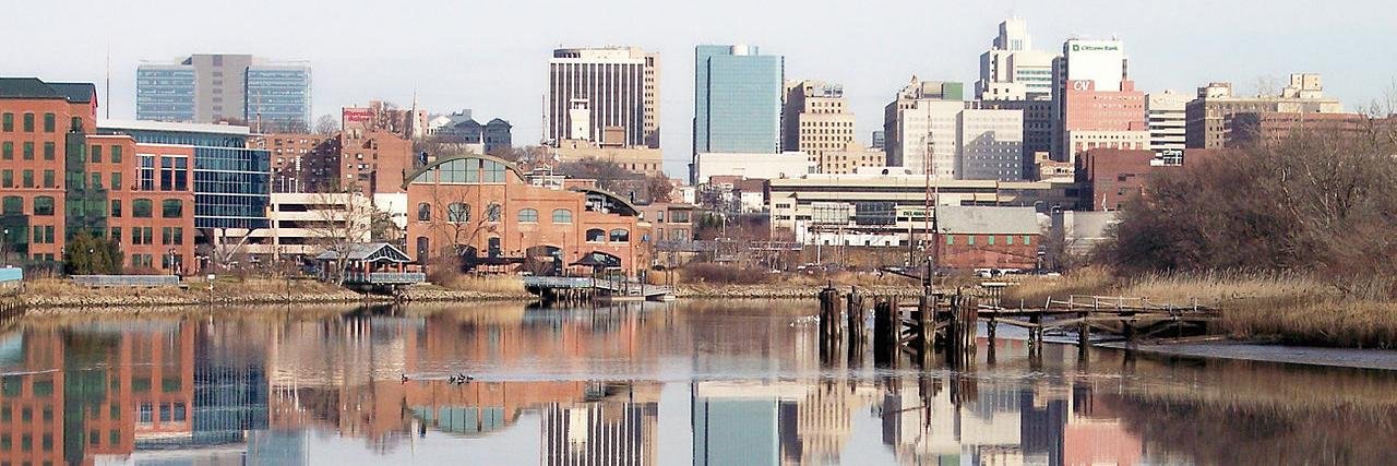 Wilmington Buzz banner