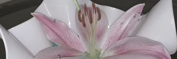 gotcIouds Profile Banner