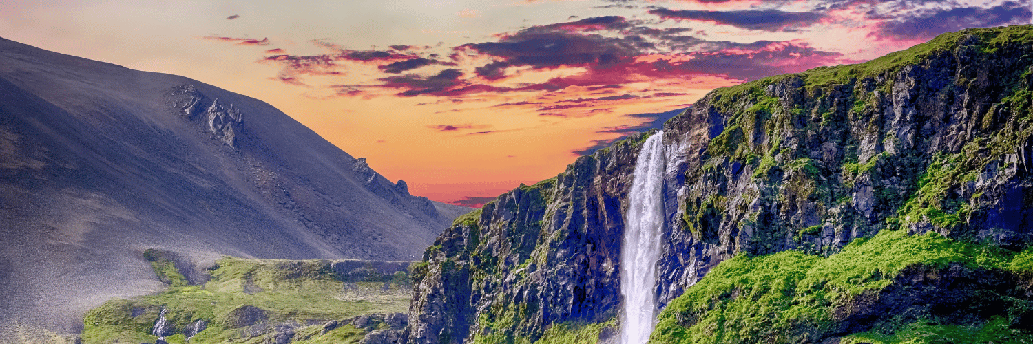 David Brooks banner