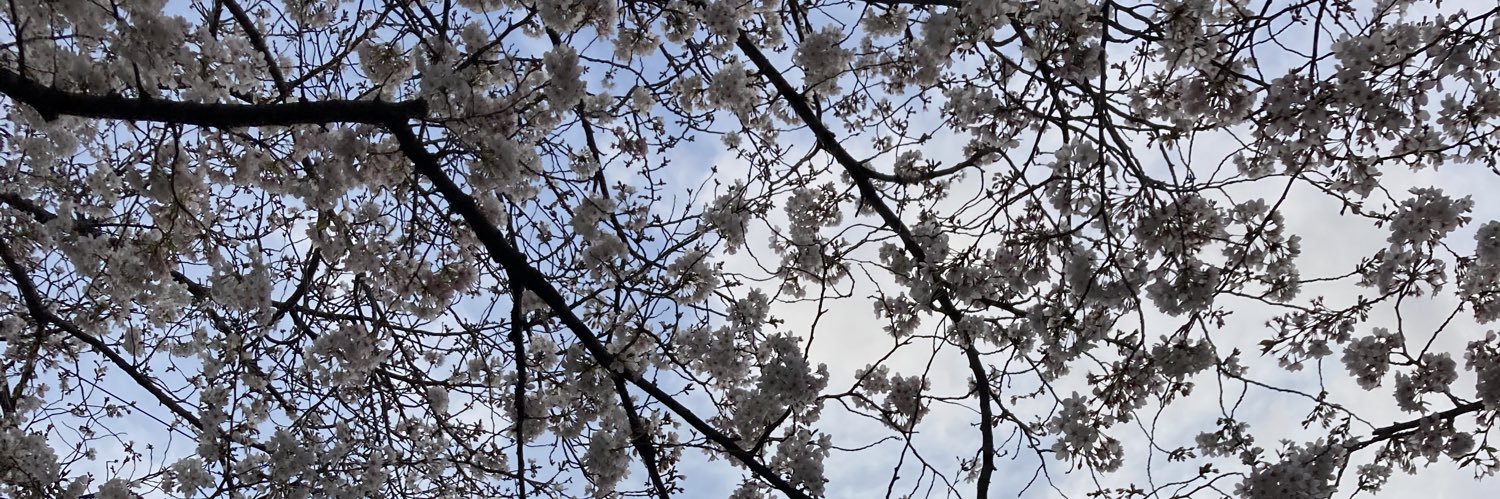 Iseko＠ママ女医💉コスタイバー兼応援屋 banner