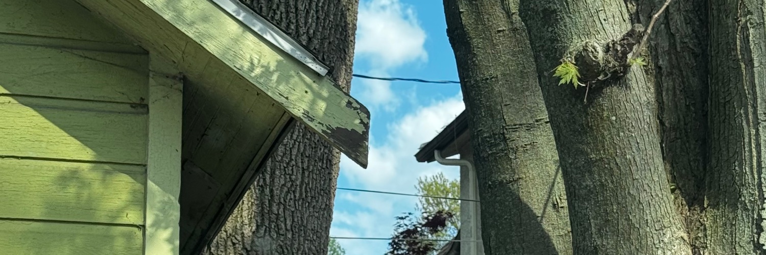 fwoogg's profile banner image