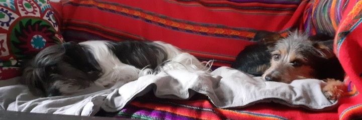 Natural Bert banner