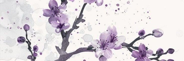 shinycheese's profile banner image