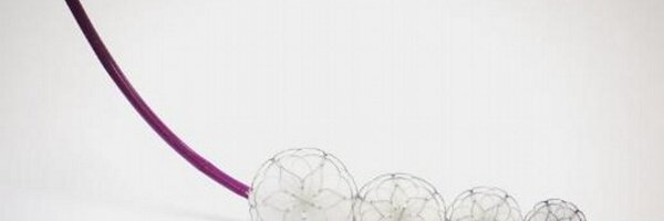 CardiaInc Profile Banner