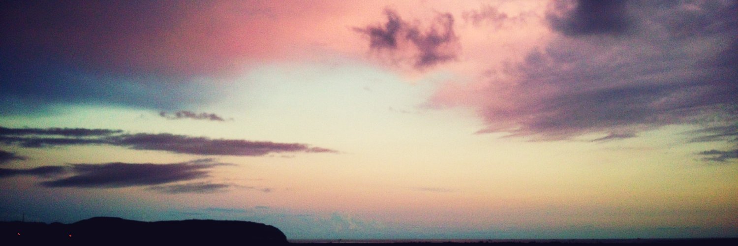 かしわうどん banner