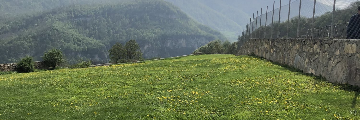 Ye_Lena__'s profile banner image