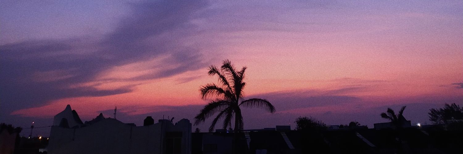 nimalvarez10's profile banner image