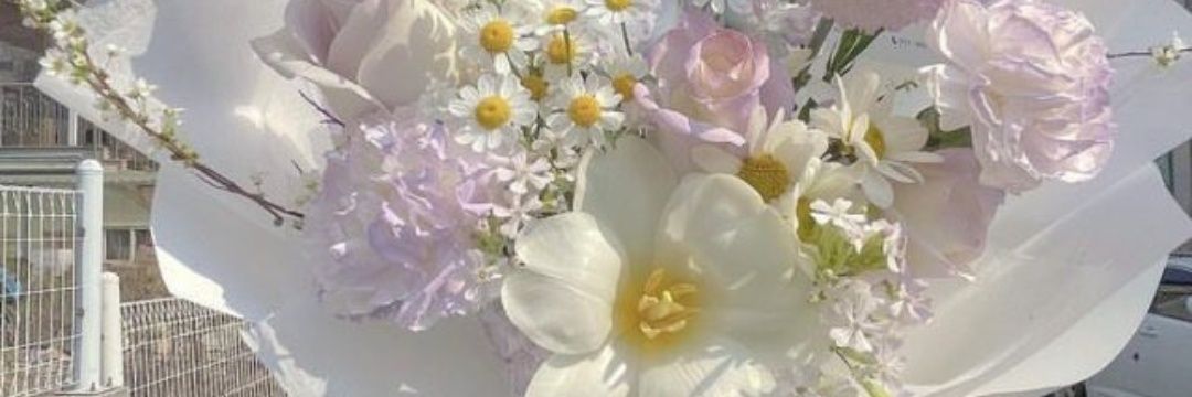 Gozde_nur__'s profile banner image
