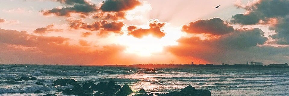 rhythmic_mind's profile banner image