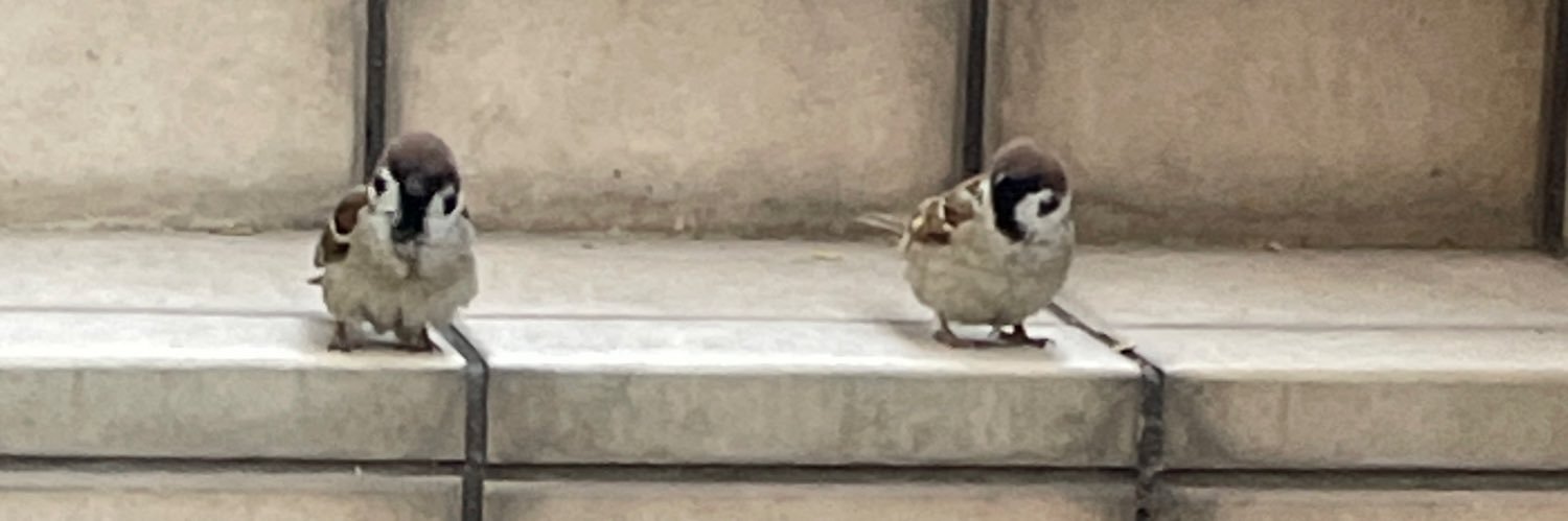 しかばね一葉 banner