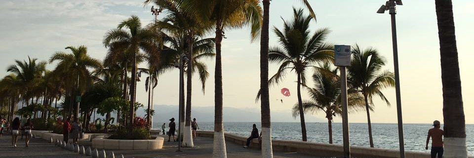 majobatarse's profile banner image