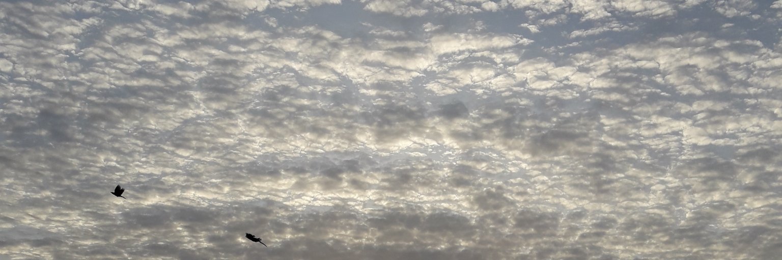 sunoriverah's profile banner image