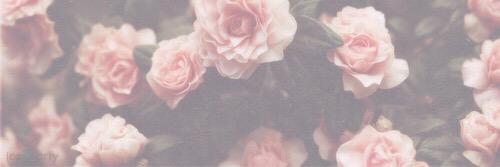 kei_xoxob1a4's profile banner image