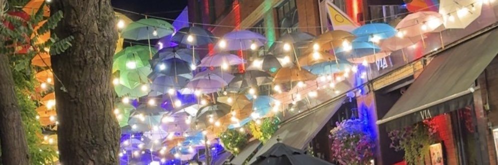 TRANS RIGHTS 🏳️‍⚧️ banner