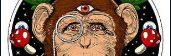 BricoleMc's profile banner image