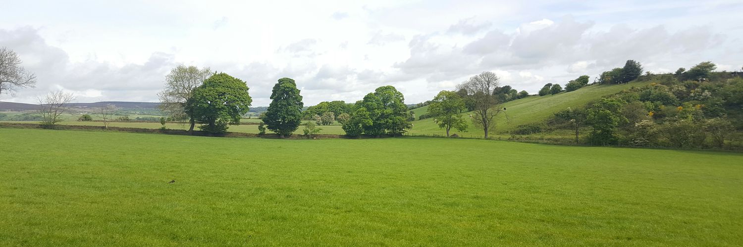 Yeyenta Osasu PhD banner