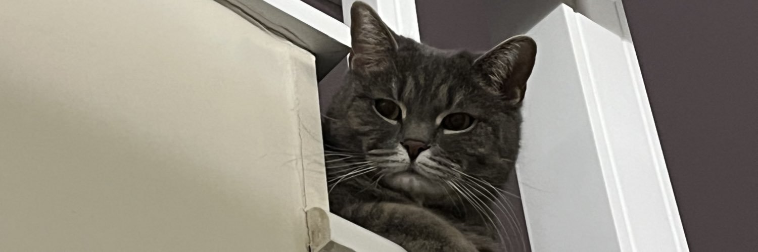 petiborberil's profile banner image