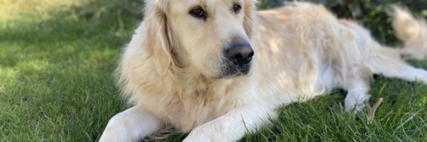 miquel_samper Profile Banner