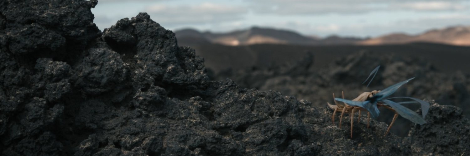 BenWarbo's profile banner image