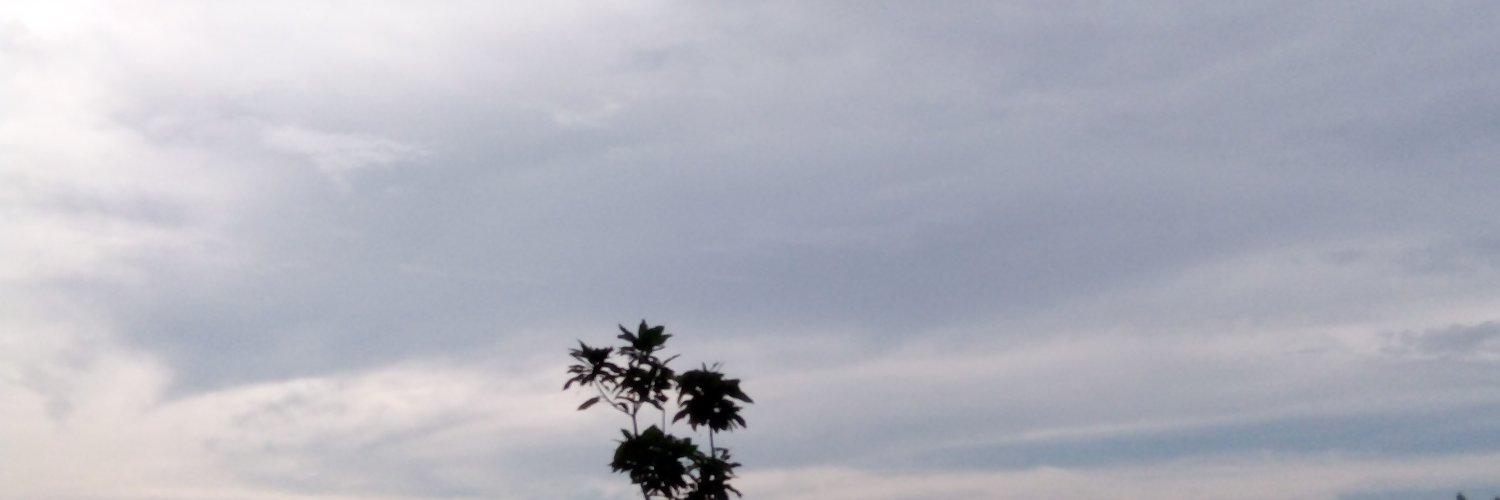 manatauda🍉 banner