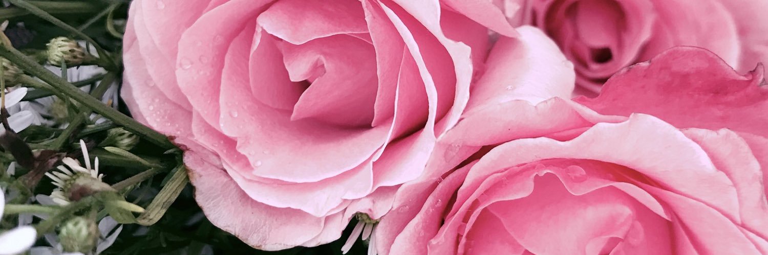 IrmaPao's profile banner image