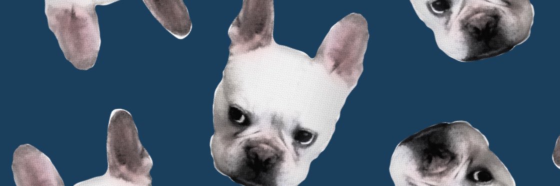 槇原敬之's banner