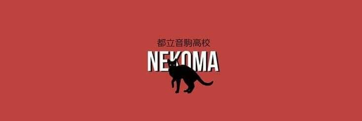 shohei banner