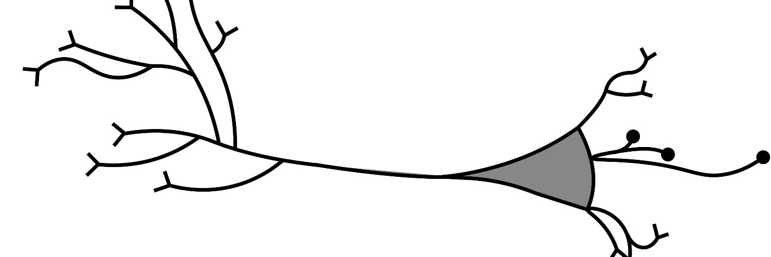 Kira Düsterwald banner