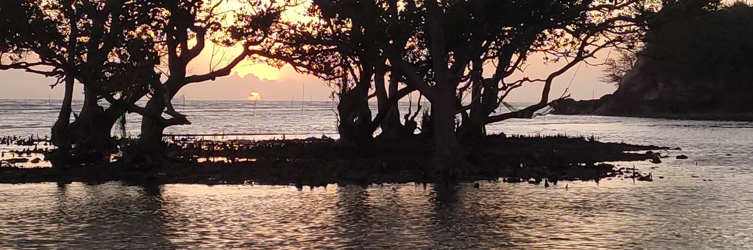 amcapistrano's profile banner image