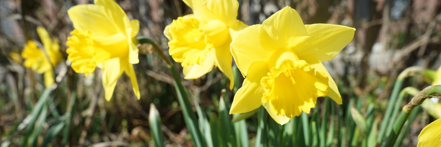 MamaWatson1213's profile banner image