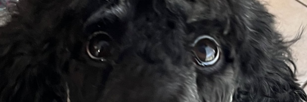 Jay🐶🇨🇦🔆's banner