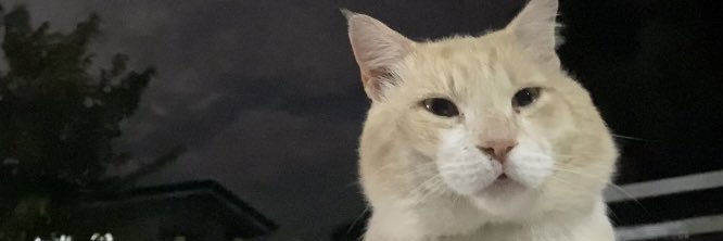 iemgeee's profile banner image
