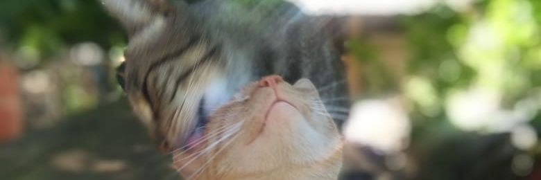 Emi_AndreBr's profile banner image