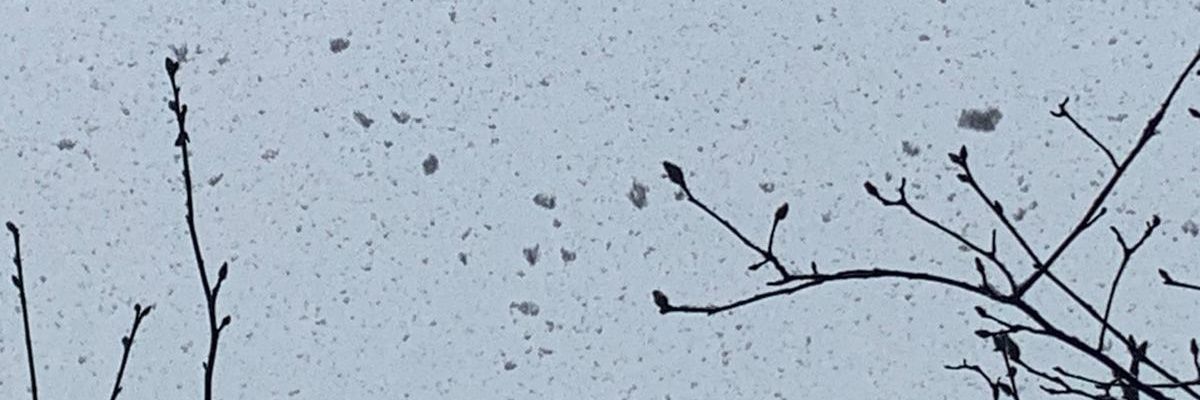 memarf1's profile banner image