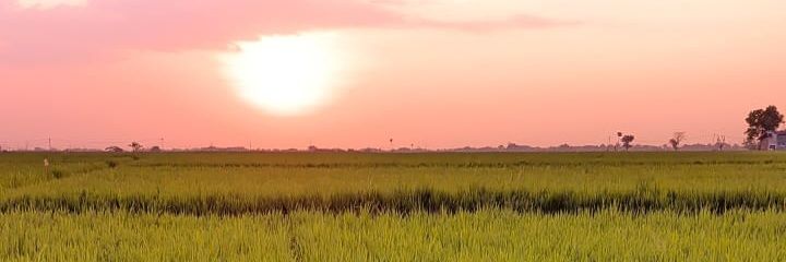 budwear's profile banner image