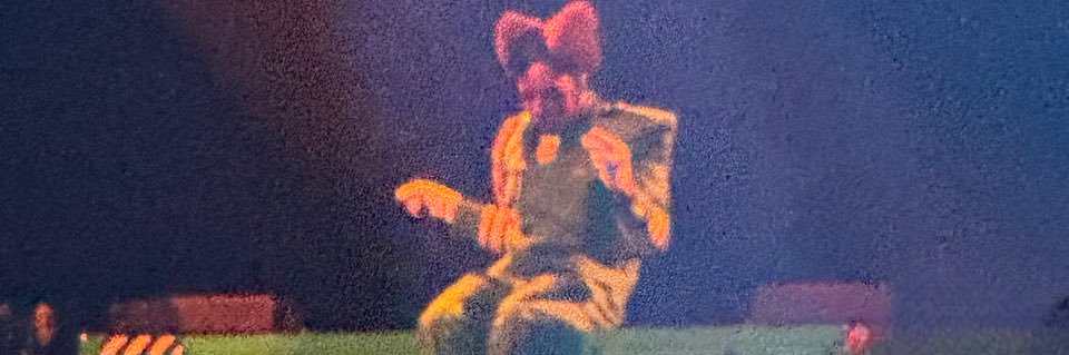 Saffron Beast55 banner