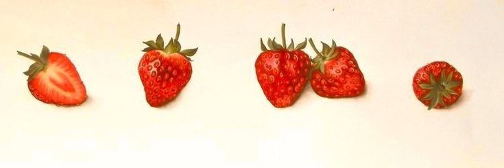 codinome beija-flor banner