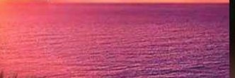 iamikool's profile banner image
