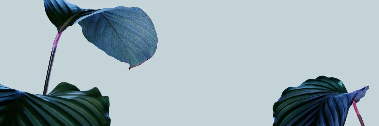 ⍛ banner