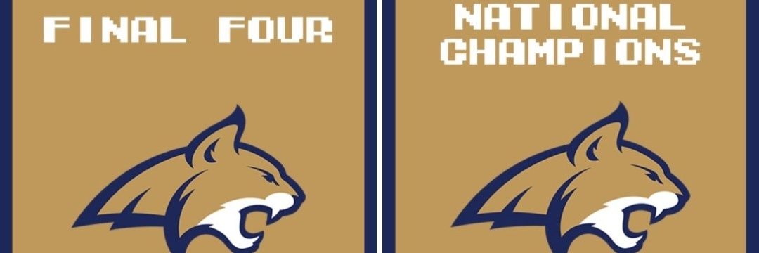 Retro Bulldogs banner