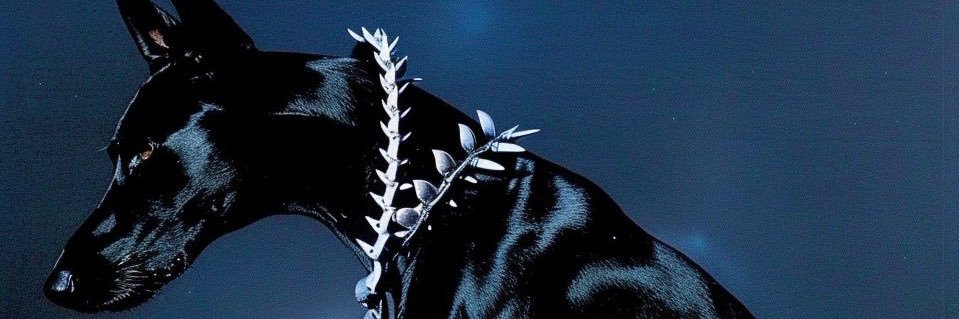piinhead69's profile banner image