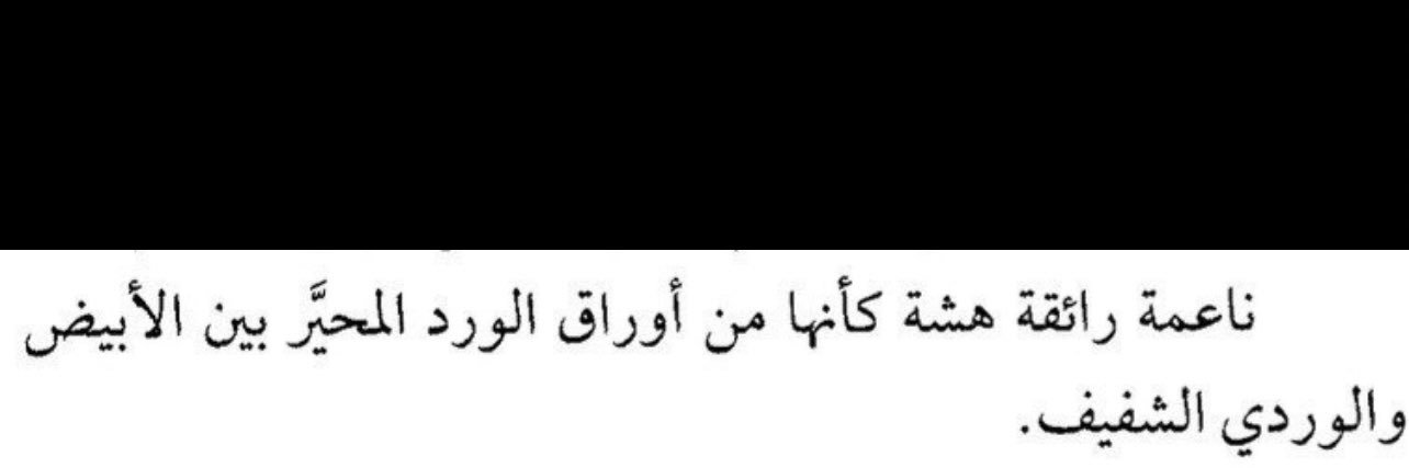 _Alaa31's profile banner image