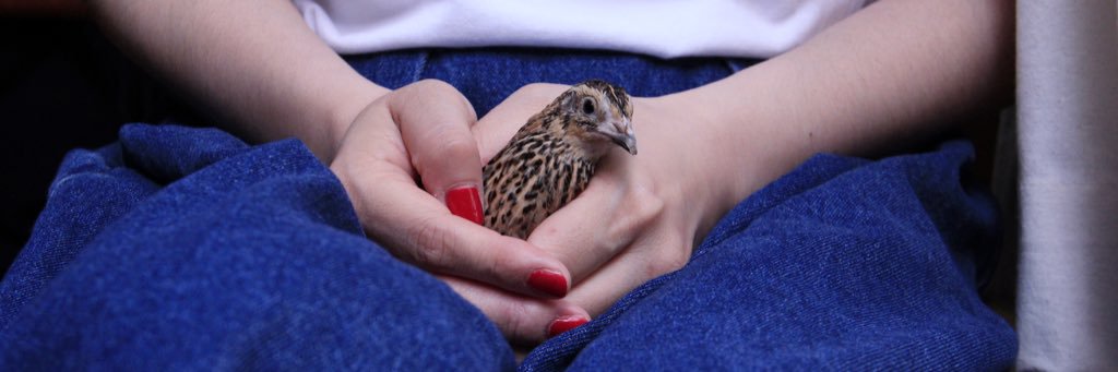 𓆙ªᶥ ꢤⁿᵈᵜ banner