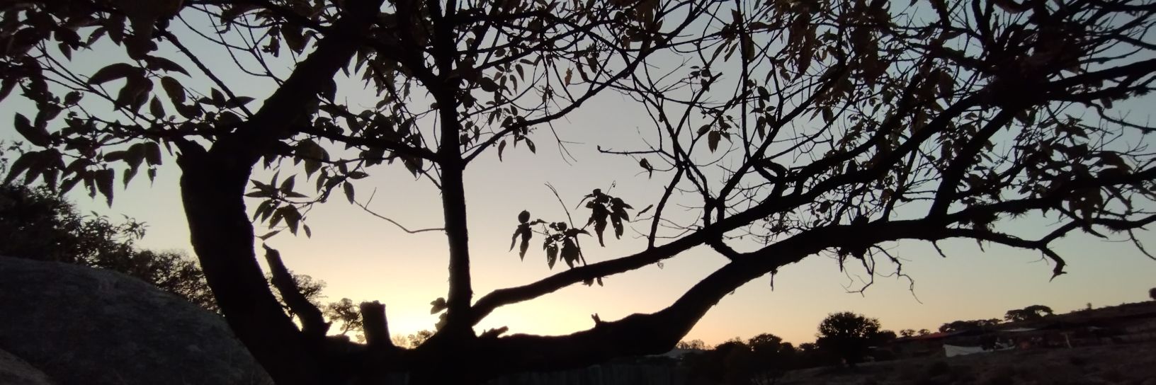 AmeLavox's profile banner image