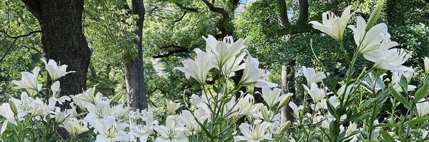 由唯（ゆい）☕️ banner