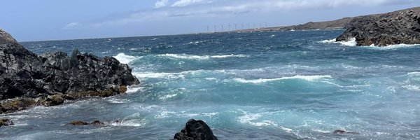 Telt_ Profile Banner